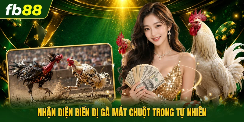 Nhận diện biến dị gà mắt chuột trong tự nhiên