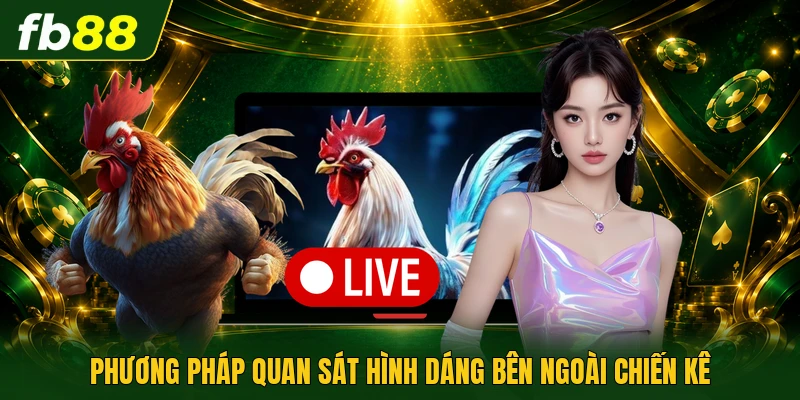 Phương pháp quan sát hình dáng bên ngoài chiến kê