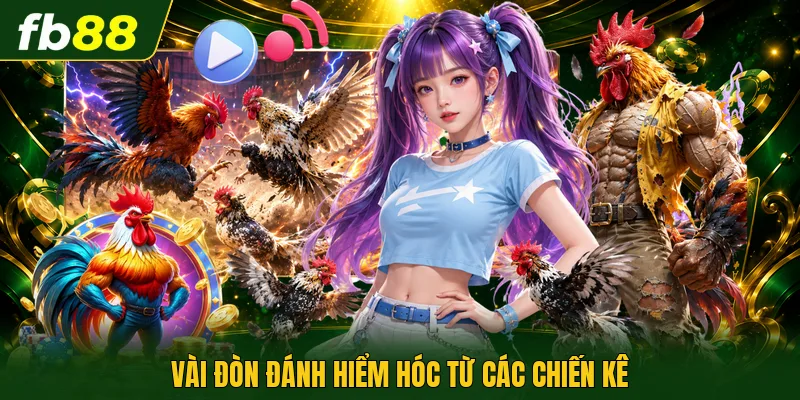 Vài đòn đánh hiểm hóc từ các chiến kê