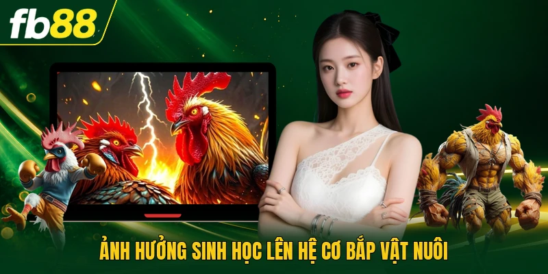 Ảnh hưởng sinh học lên hệ cơ bắp vật nuôi