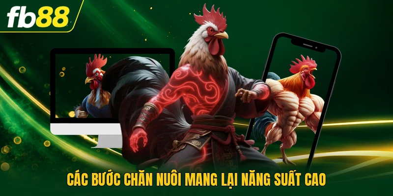 Các bước chăn nuôi mang lại năng suất cao