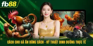 Cách Cho Gà Ăn Đúng Cách - Kỹ Thuật Dinh Dưỡng Thực Tế