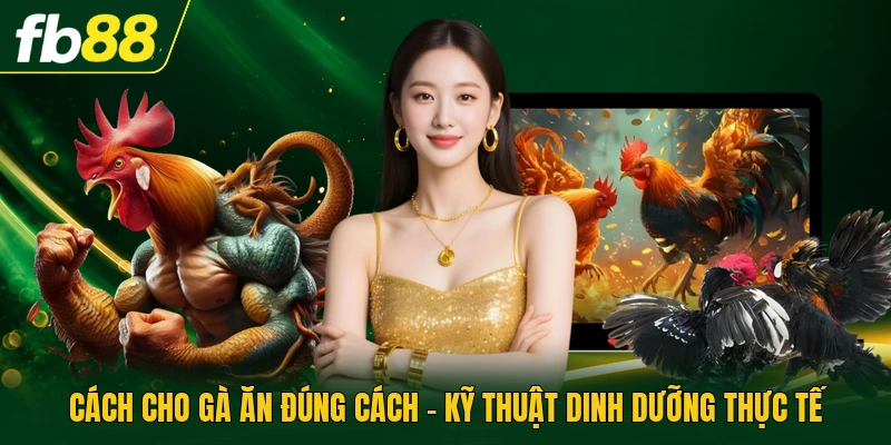 Cách Cho Gà Ăn Đúng Cách - Kỹ Thuật Dinh Dưỡng Thực Tế