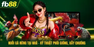 Nuôi Gà Rừng Tại Nhà - Kỹ Thuật Phối Giống, Xây Chuồng