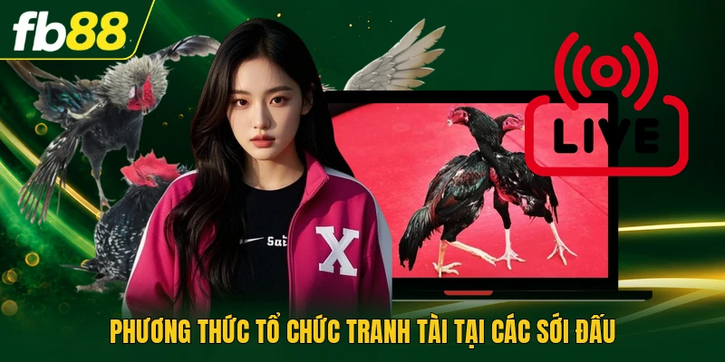 Phương thức tổ chức tranh tài tại các sới đấu