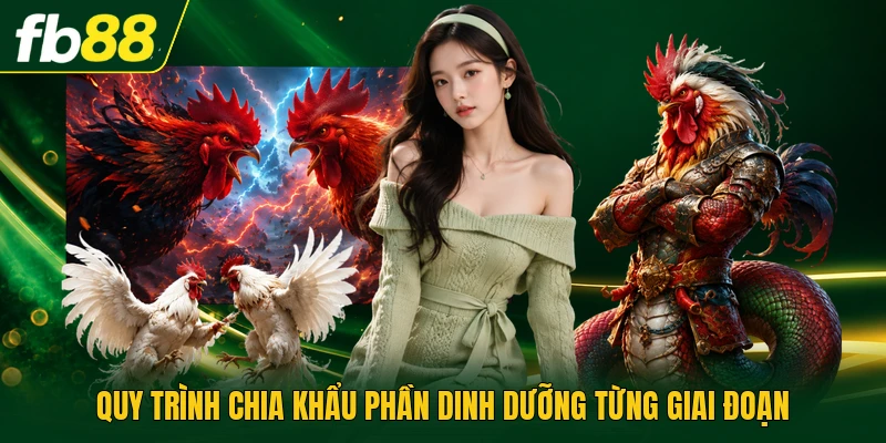Cách Cho Gà Ăn Đúng Cách - Kỹ Thuật Dinh Dưỡng Thực Tế 2 Quy trình chia khẩu phần dinh dưỡng từng giai đoạn