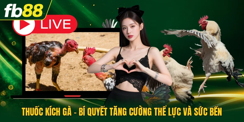 Thuốc Kích Gà - Bí Quyết Tăng Cường Thể Lực Và Sức Bền