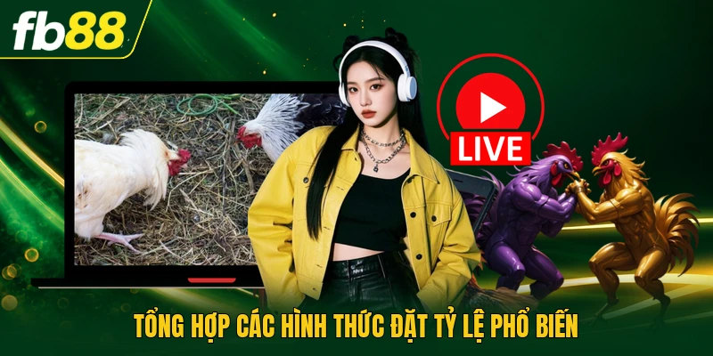 Tổng hợp các hình thức đặt tỷ lệ phổ biến