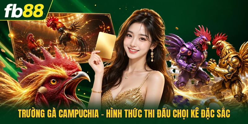 Trường Gà Campuchia - Hình Thức Thi Đấu Chọi Kê Đặc Sắc